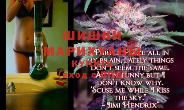 мдпв Вязьма