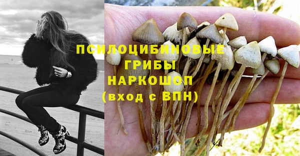 мдпв Вязьма