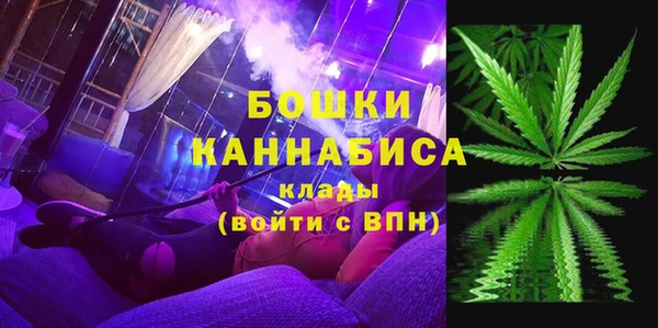 мдпв Вязьма