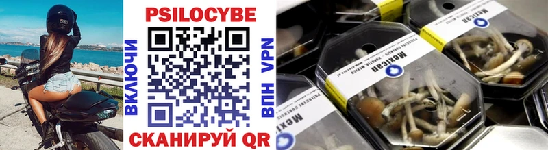Галлюциногенные грибы Cubensis  наркошоп  Разумное 